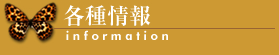 �e����information