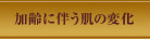 加齢に伴う肌の変化