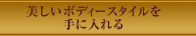 美しいボディースタイルを手に入れる