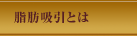 脂肪吸引とは