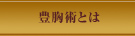 豊胸術とは