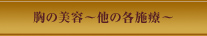 胸の美容 - 他の各施療 - 