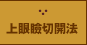 上眼瞼切開法