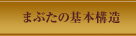 まぶたの基本構造